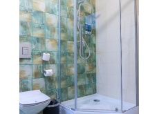 Taiga HOtel - Single Standard _ Bathroom 